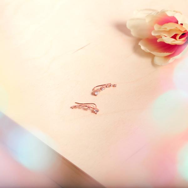 SALE - Curved Graduated CZ Crawler - - Earrings - Ofina