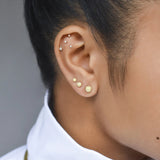 14k Solid Gold Stardust Studs - - Earrings - Ofina