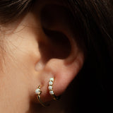 Opal Huggies - - Earrings - Ofina