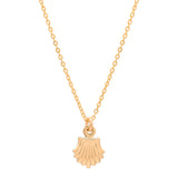 Seashell Necklace - - Necklaces - Ofina