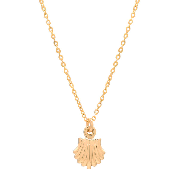 Seashell Necklace - - Necklaces - Ofina