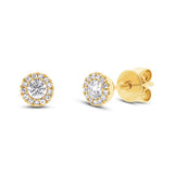 Diamonds Round Pave Stud Earrings - Yellow Gold / 0.29CT - Earrings - Ofina